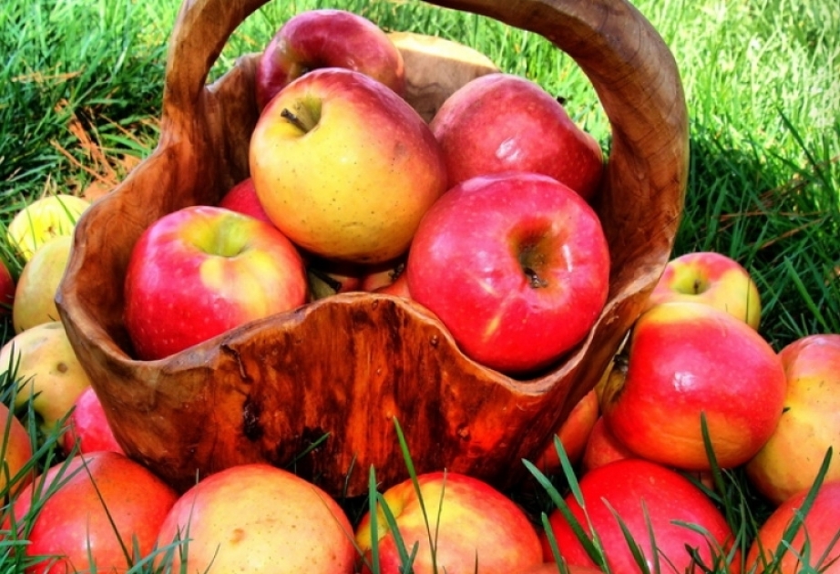 Azerbaïdjan : les exportations de pommes ont diminué