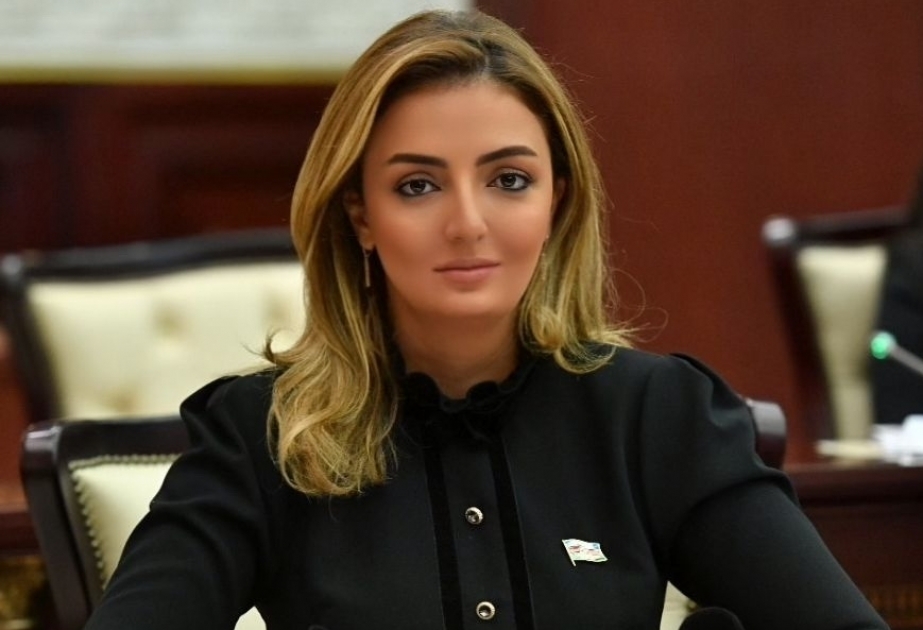 MP: The world evaluates the process of normalization in the South Caucasus as a result of Azerbaijan's great victory