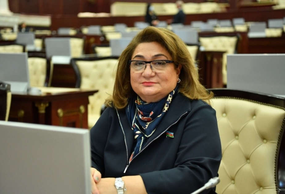 Hicran Hüseynova: Şuşa Bəyannaməsi regional təhlükəsizliyin qorunması üçün çox vacib vasitədir