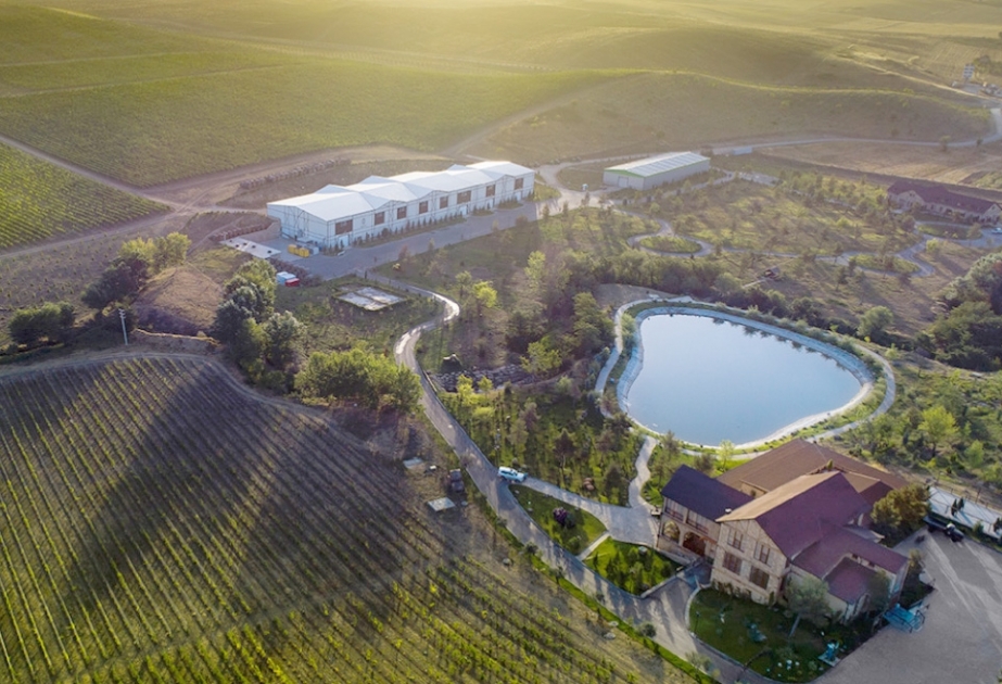 "Meysari" es el único productor de vino ecológico de Azerbaiyán con certificación de la UE