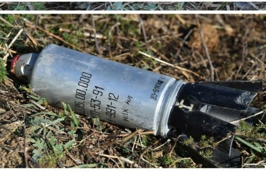 Yevlax rayonunun Aran qəsəbəsində partlamamış 17 kasetli bomba aşkarlanaraq zərərsizləşdirilib