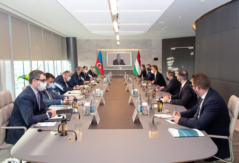 Participation of Hungarian companies in restoration of Azerbaijan`s liberated territories discussed