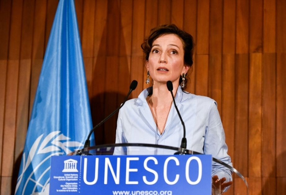 Heads of Azerbaijani NGOs appeal to UNESCO Director-General