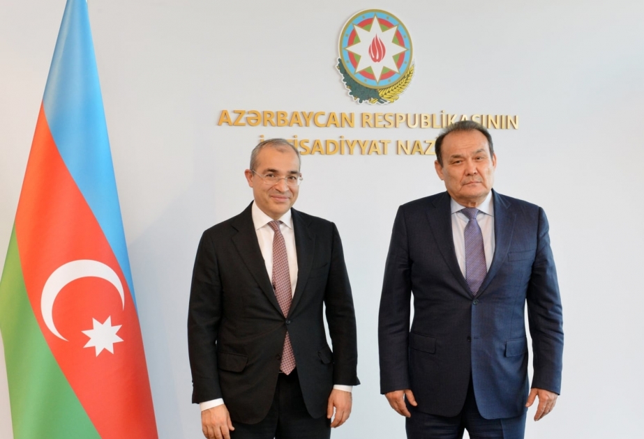 Azerbaijan, Organization of Turkic States discuss development of cooperation
