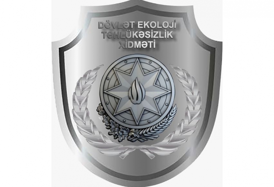 Aşmış ağacın yerinə yenisi əkilib