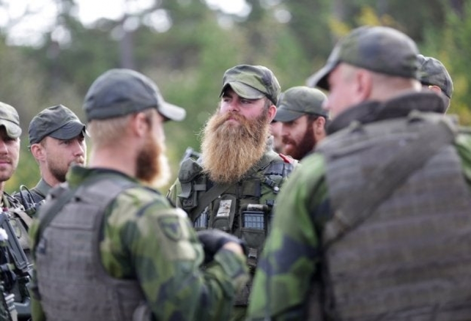 Шведские военные инструкторы выводятся из Украины