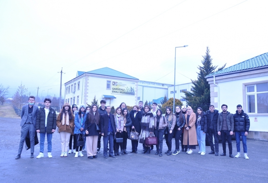 Mingəçevir Dövlət Universiteti kollektivi Qarğıdalı Emalı Müəssisəsinə ekskursiya edib