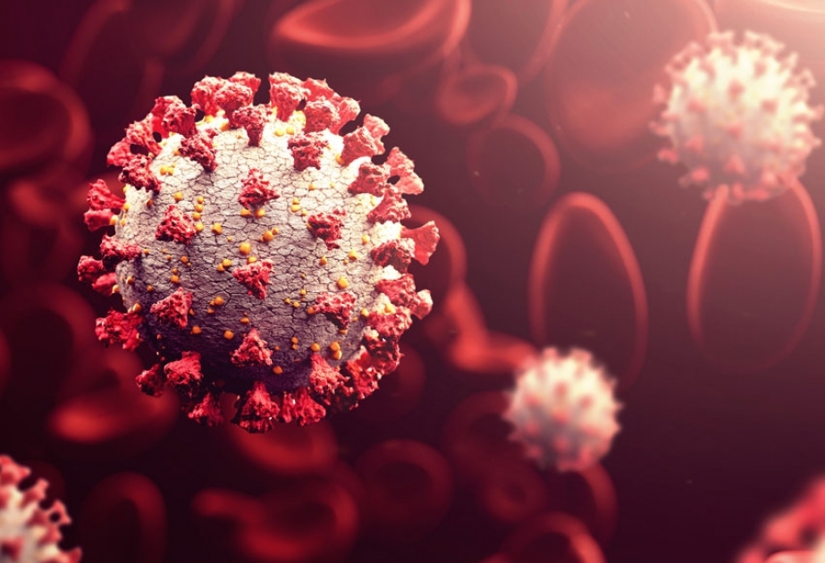 İctimai yerlərdə 21 nəfər aktiv koronavirus xəstəsi aşkarlanıb
