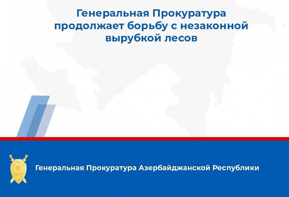 По факту незаконной вырубки деревьев возбуждено пять уголовных дел