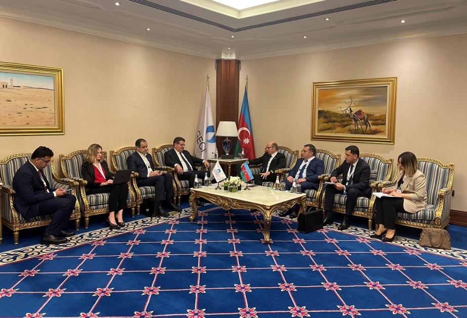 Energetika naziri Dohada bir sıra görüşlər keçirib