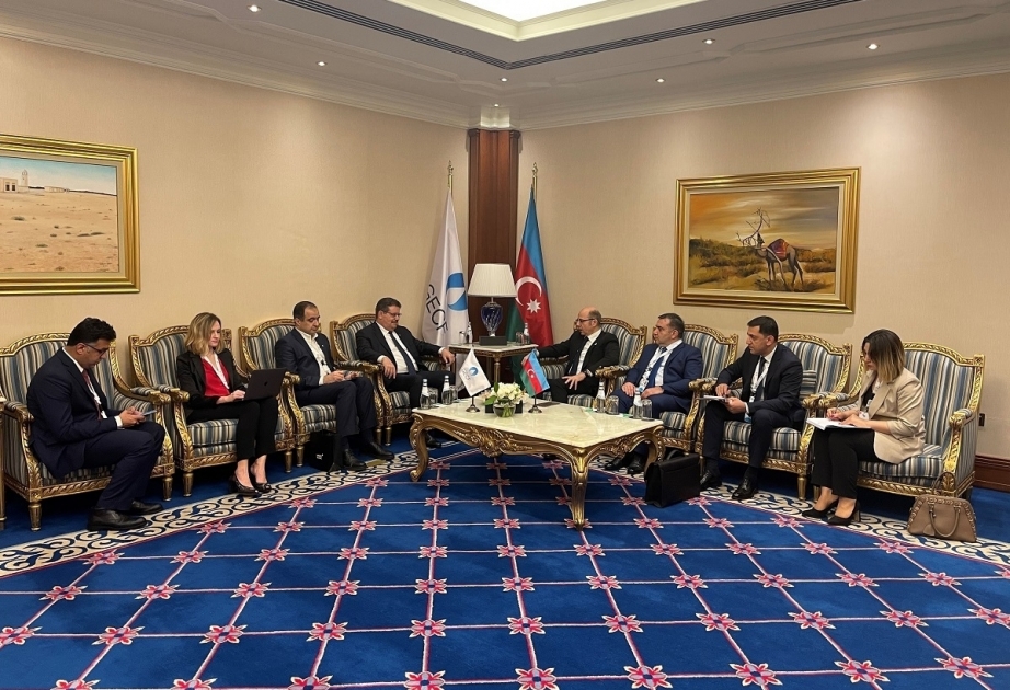 Azerbaijan’s Energy Minister holds several meetings in Qatar