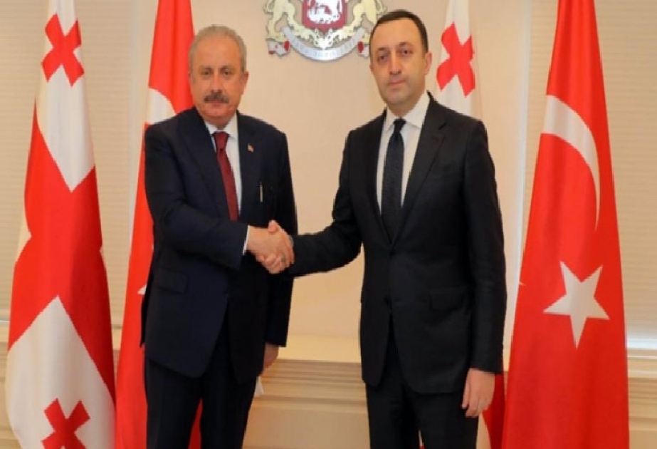 Türkiyə və Gürcüstan rəsmiləri regional əməkdaşlıq və təhlükəsizlik məsələlərini müzakirə ediblər