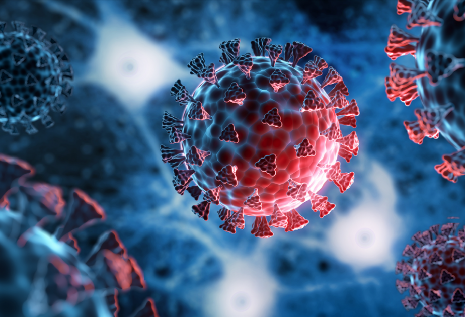 Professor: Lazımsız antiviral və antibiotik istifadəsi COVID-19-a yoluxma halında immun sistemini məhv edə bilər