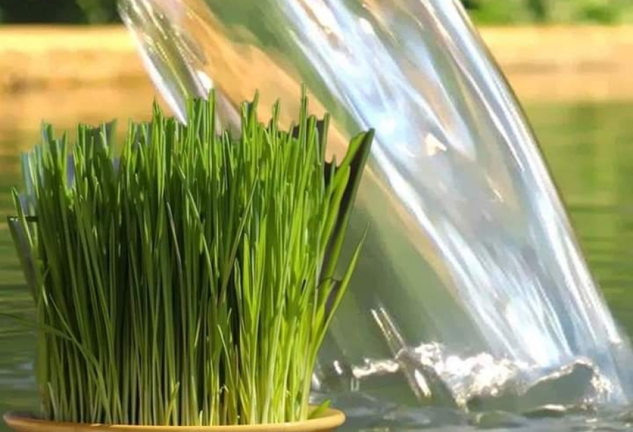 El presagio de la primavera- primer martes de Novruz se celebra en Azerbaiyán