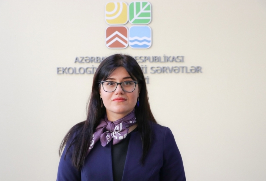 Gənclərin könüllü aksiyalarda aktivliyi ətraf mühit problemlərinin həllində mühüm rol oynayır