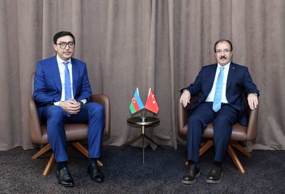 Azerbaijan, Turkiye discuss cooperation in field of youth and sports