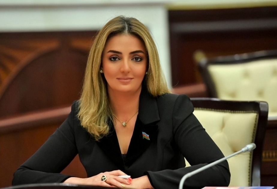 Deputat: Şuşa Bəyannaməsi kimi, Moskva Bəyannaməsi də Azərbaycanın milli maraqlarını tam əks etdirir