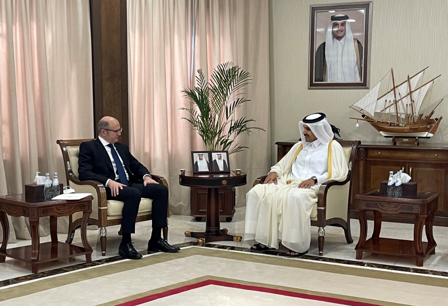 Azerbaijan, Qatar discuss energy cooperation