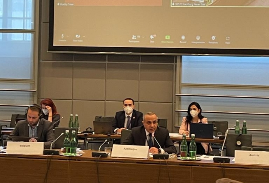 Azay Quliyev: Azərbaycanı öz ərazisində hərbi əməliyyat keçirməsinə görə ittiham etmək sadəcə olaraq gülüncdür