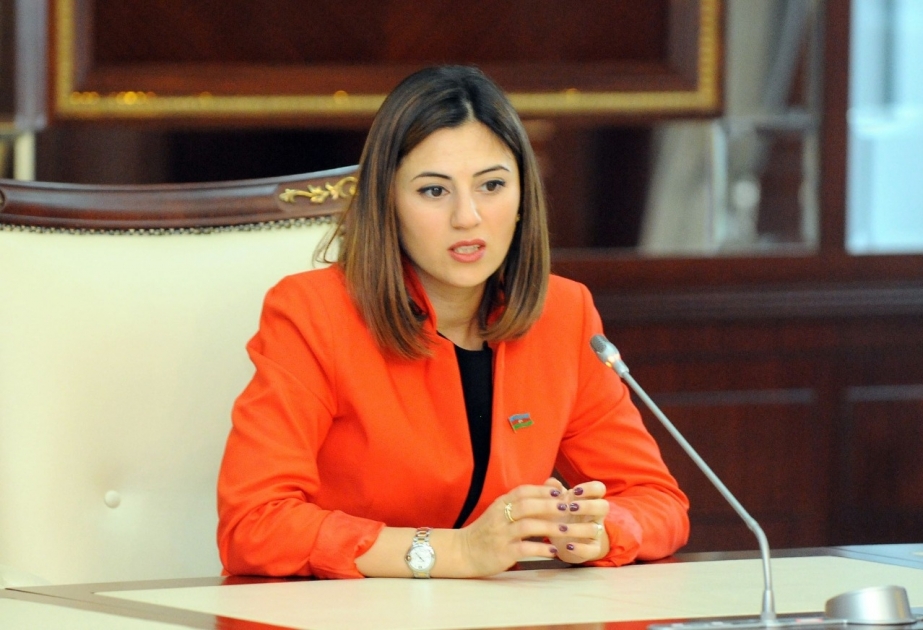 Deputat: Azərbaycan müstəqil xarici siyasətini yalnız özünün milli maraqları əsasında aparır