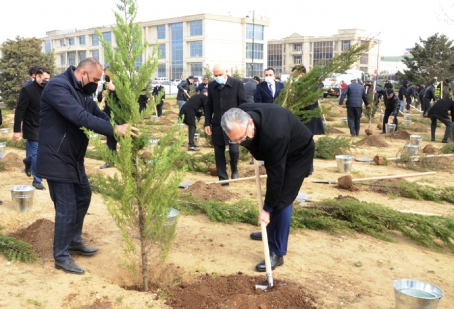 Bakıda Xocalı şəhidlərinin xatirəsinə 613 ağac əkilib