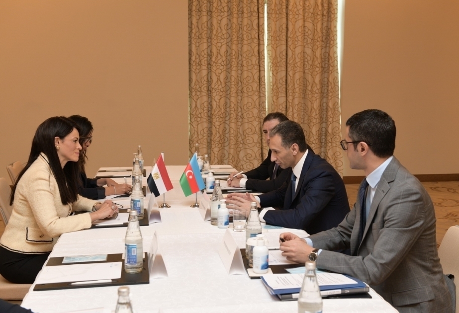 Azerbaijan, Egypt discuss opportunities for cooperation in number of areas