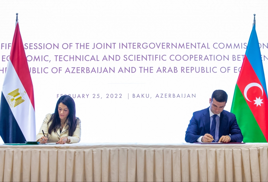 Azerbaijan`s KOBIA, Egyptian MSMEDA sign MoU