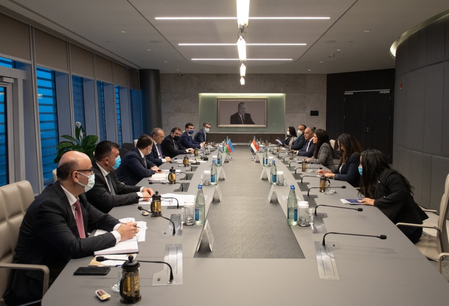 Azerbaijan, Egypt discuss restoration of liberated territories