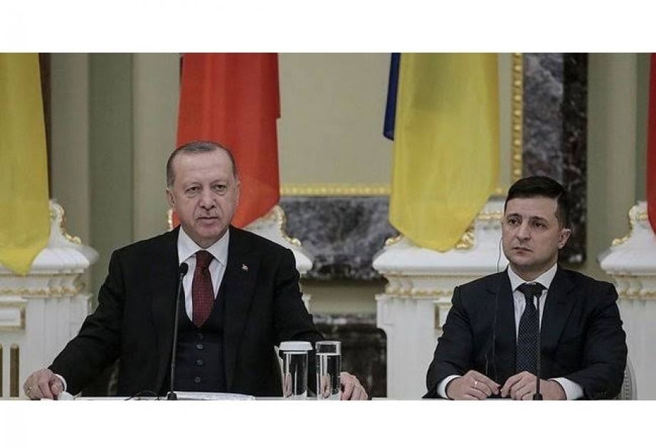 Turkiye making efforts for cease-fire between Russia and Ukraine