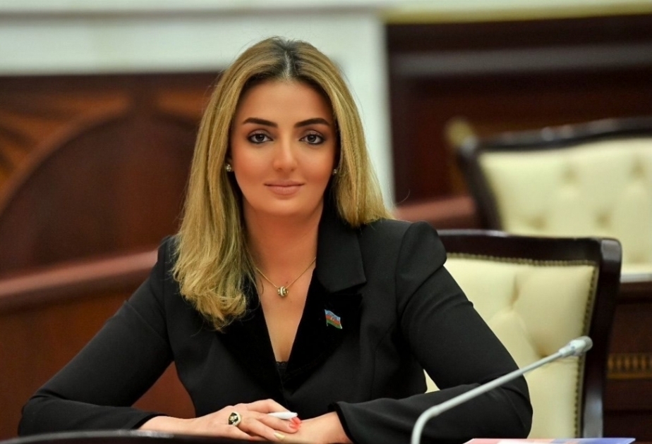 Deputat: Avropa Şurası başda olmaqla bütün beynəlxalq təşkilatların Xocalı soyqırımını tanımasını istəyirik