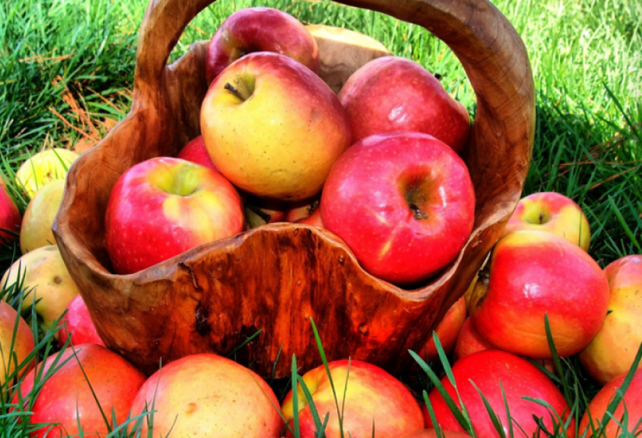 L’Azerbaïdjan a augmenté ses exportations de pommes
