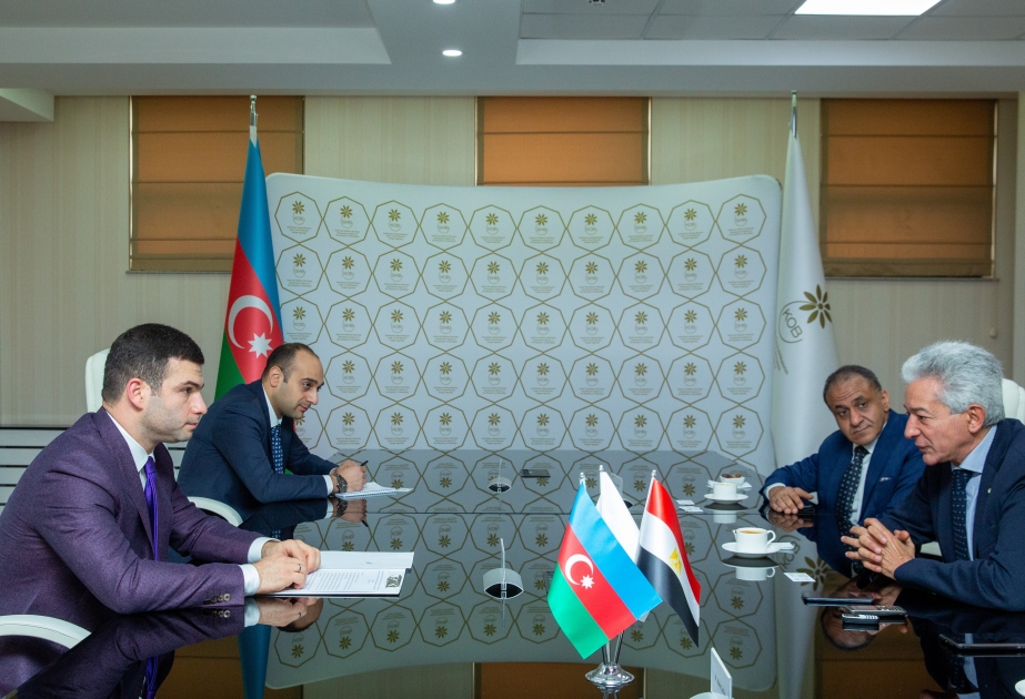 Azerbaijan, Egypt discuss exchange of experience in field of entrepreneurship