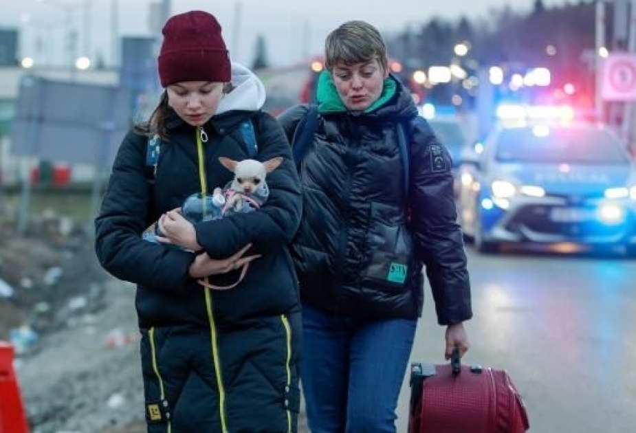 ВКДБ ООН: Число беженцев из Украины достигло миллиона
