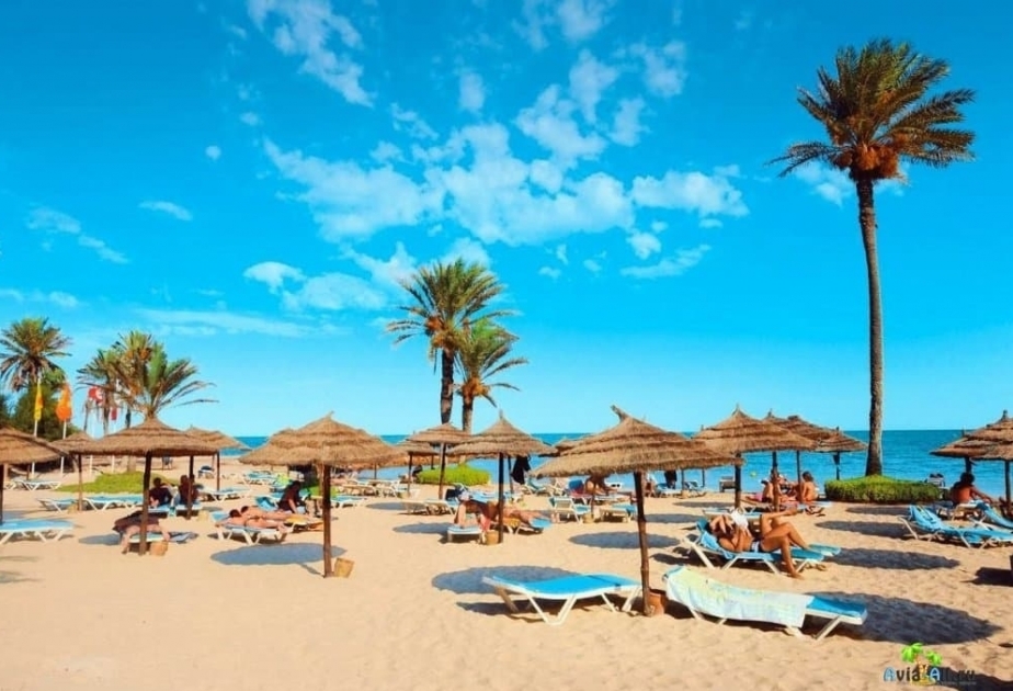 Turkey, Egypt, Tunisia awaiting Russian tourists, says federal agency