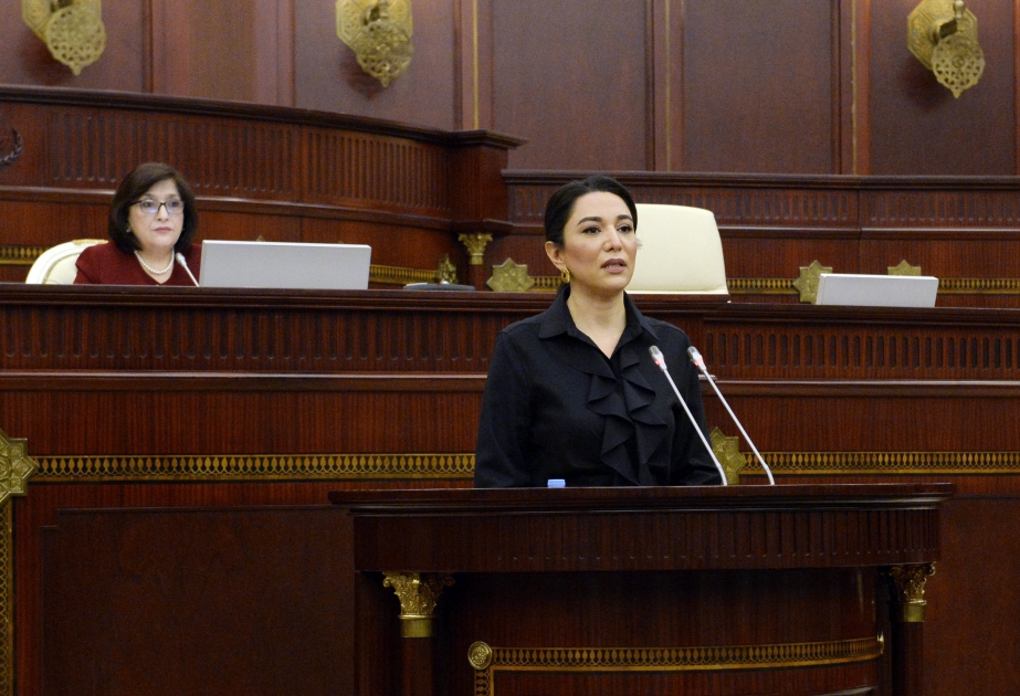 Омбудсман: Азербайджан вносит большой вклад в надежную защиту прав человека на региональном и международном уровнях