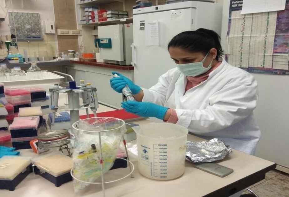 Molekulyar Biologiya və Biotexnologiyalar İnstitutunun əməkdaşı Almaniyanın Bonn Universitetində tədqiqat aparıb