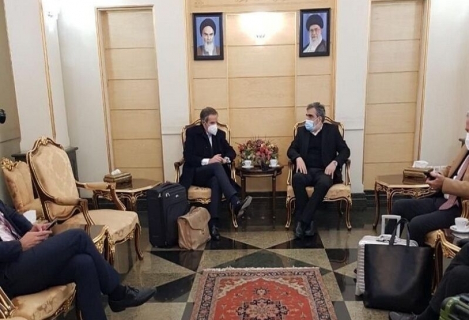 AEOI, IAEA chiefs meet in Tehran