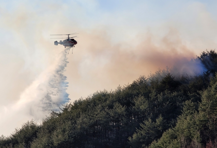 Wildfire quickly spreads to about 21,000 acres as thousands evacuate in Uljin, South Korea