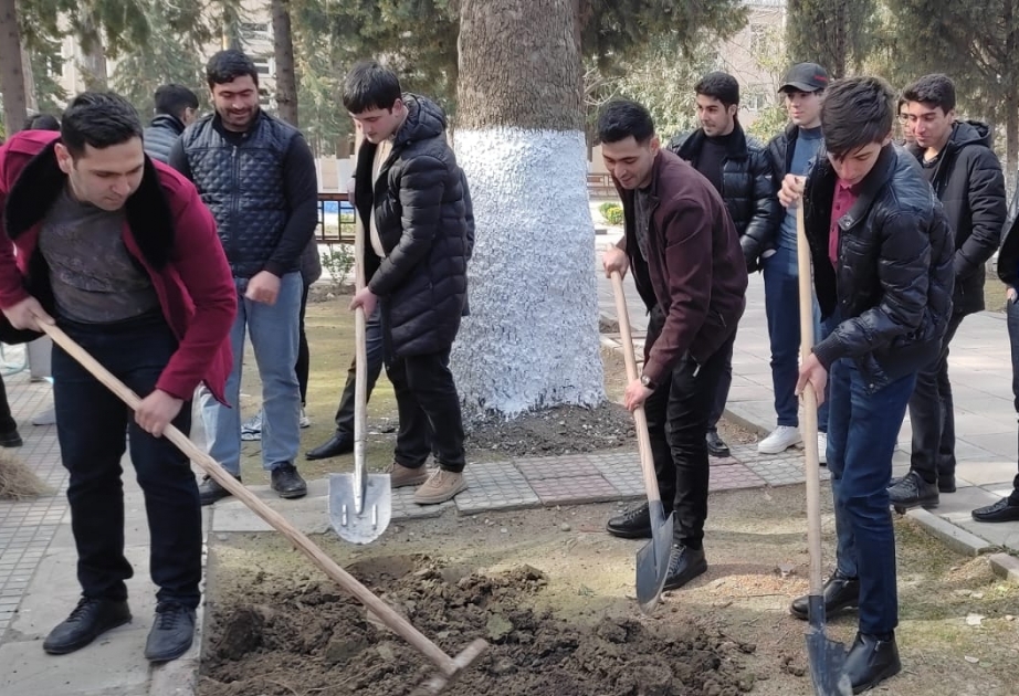 Mingəçevir Dövlət Universitetinin həyətində iməcilik keçirilib