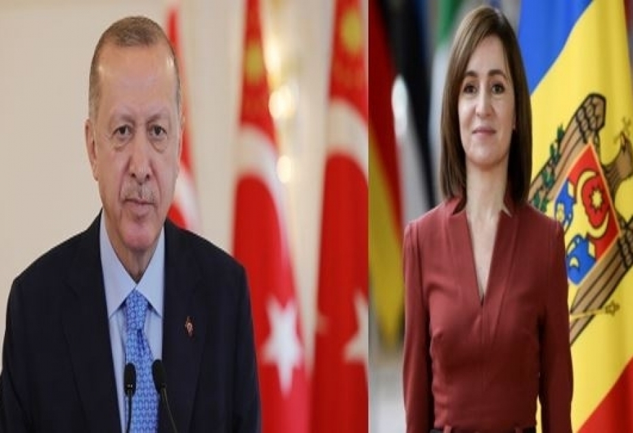 Turkish, Moldovan presidents hold phone talk