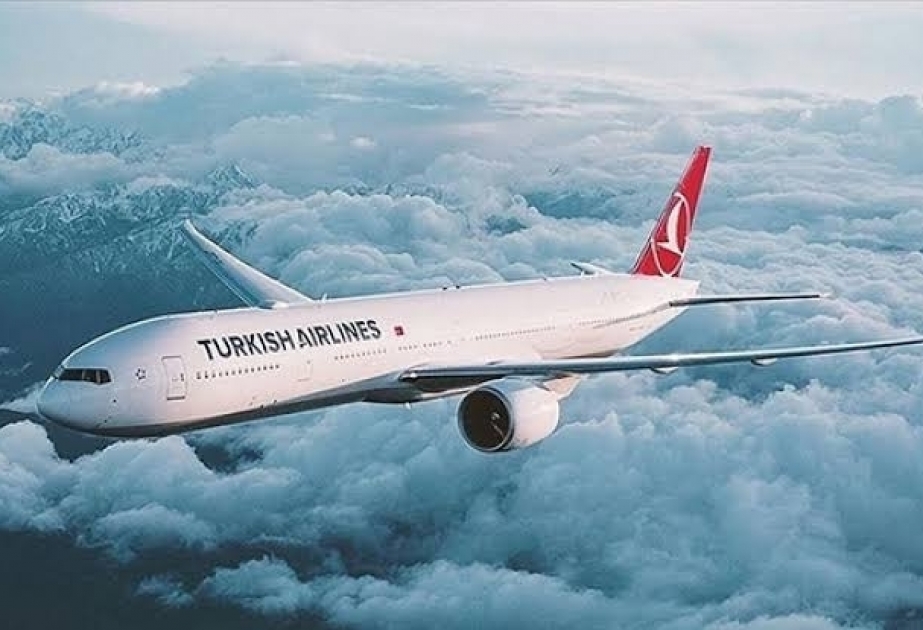 الخطوط الجوية التركية تعلّق بعض الرحلات الى إسطنبول
