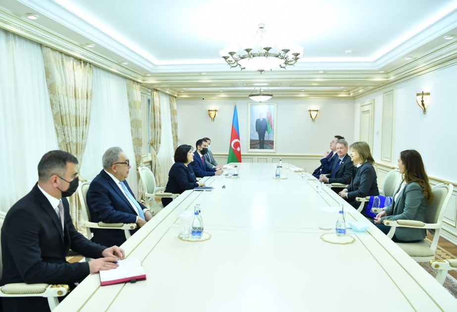 В Милли Меджлисе проведен обмен мнениями по расширению сотрудничества между Азербайджаном и Великобританией