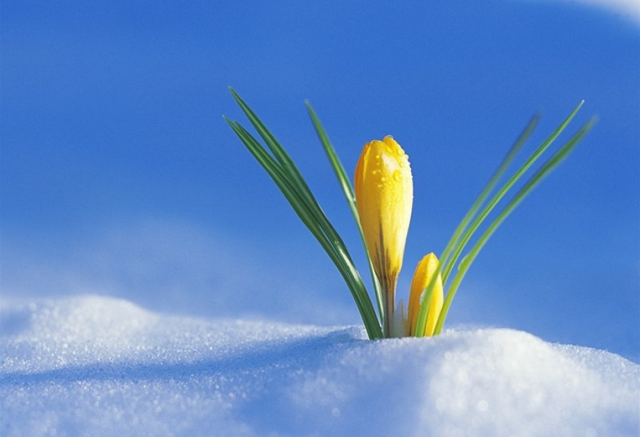 Hər aydan bir gün alan Boz ay - AZƏRTAC