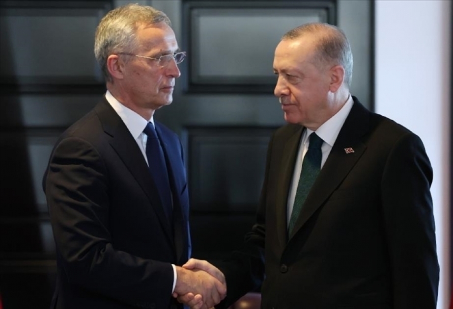 Turkish President Erdoğan receives NATO chief Stoltenberg