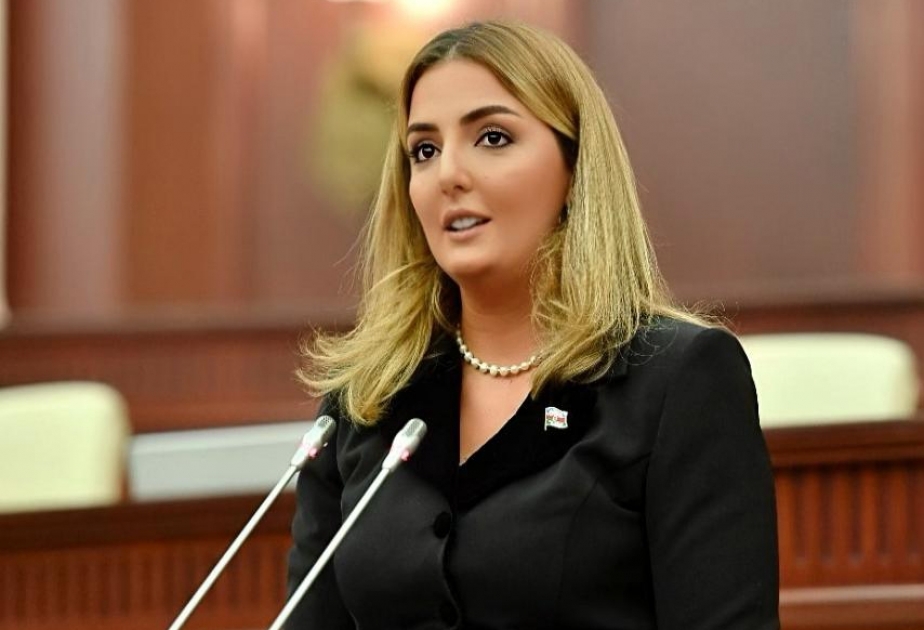 Könül Nurullayeva: Azərbaycan və Türkiyə bütün beynəlxalq təşkilatlar çərçivəsində də vahid mövqedən çıxış edir