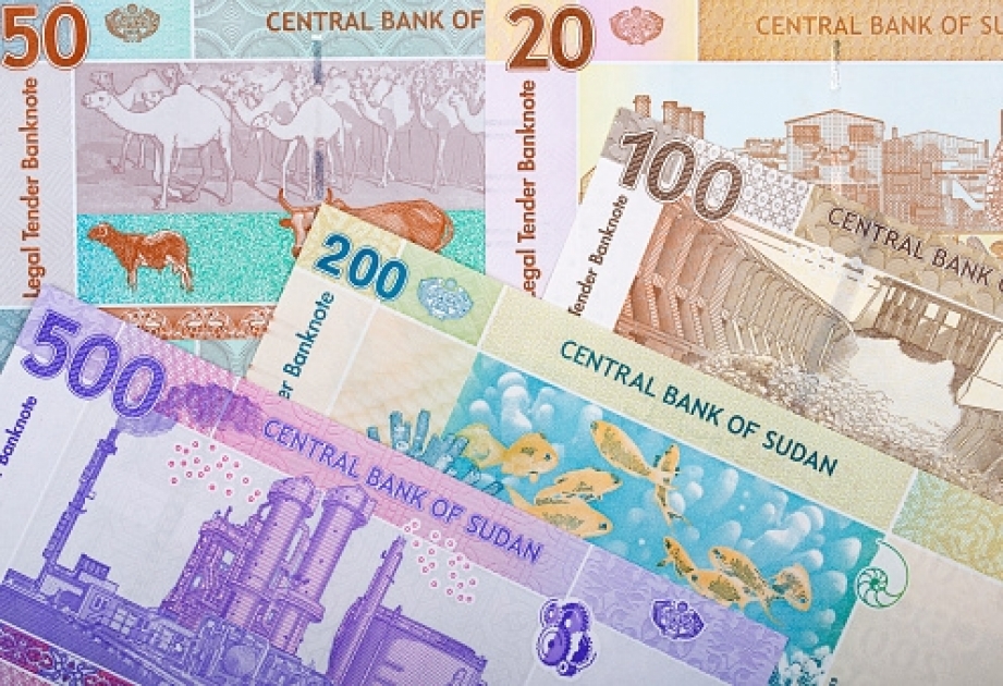 Sudanın maliyyə sistemi çöküb