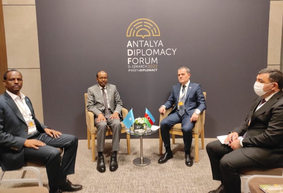 Azerbaijan, Somalia discuss cooperation issues