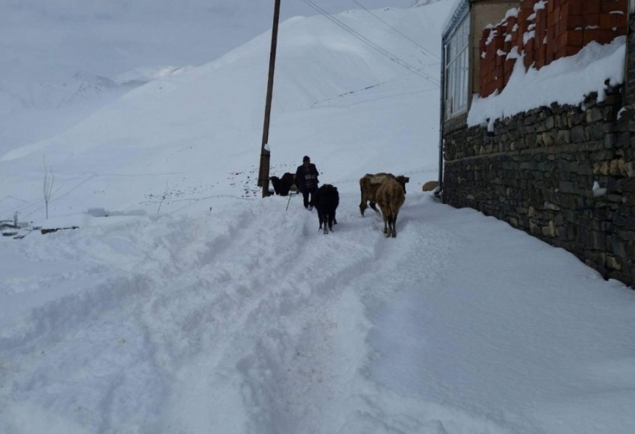 Il est tombé environ 30 centimètres de neige à Gouba et Khyzy VIDEO