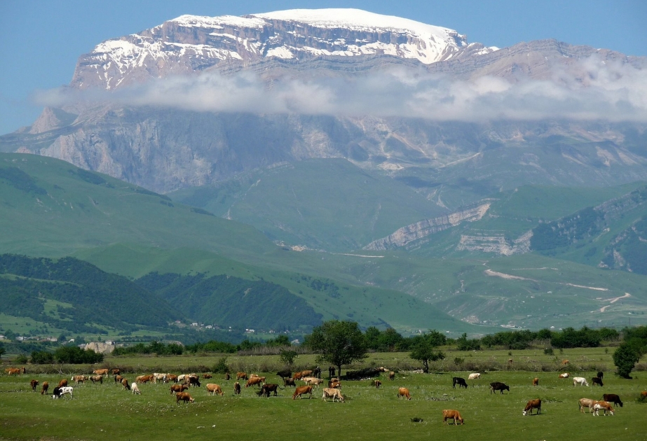 Parque Nacional Shahdagh- El lugar de los picos montañosos más poderosos de Azerbaiyán