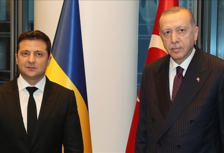 Turkiye to continue efforts to bring together Ukrainian, Russian leaders, Erdogan tells Zelenskyy